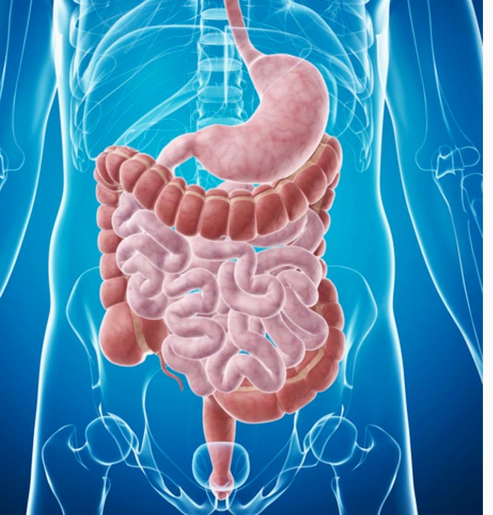Neoplasie Addominali